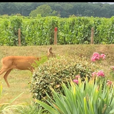 Avre De Paix Sancerrois Διαμέρισμα Thauvenay Εξωτερικό φωτογραφία